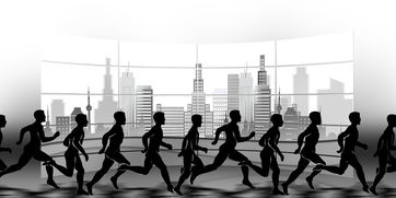 开云体育app入口-NBA球队赛事安全管理体系建设，nba球队管理系统数据库