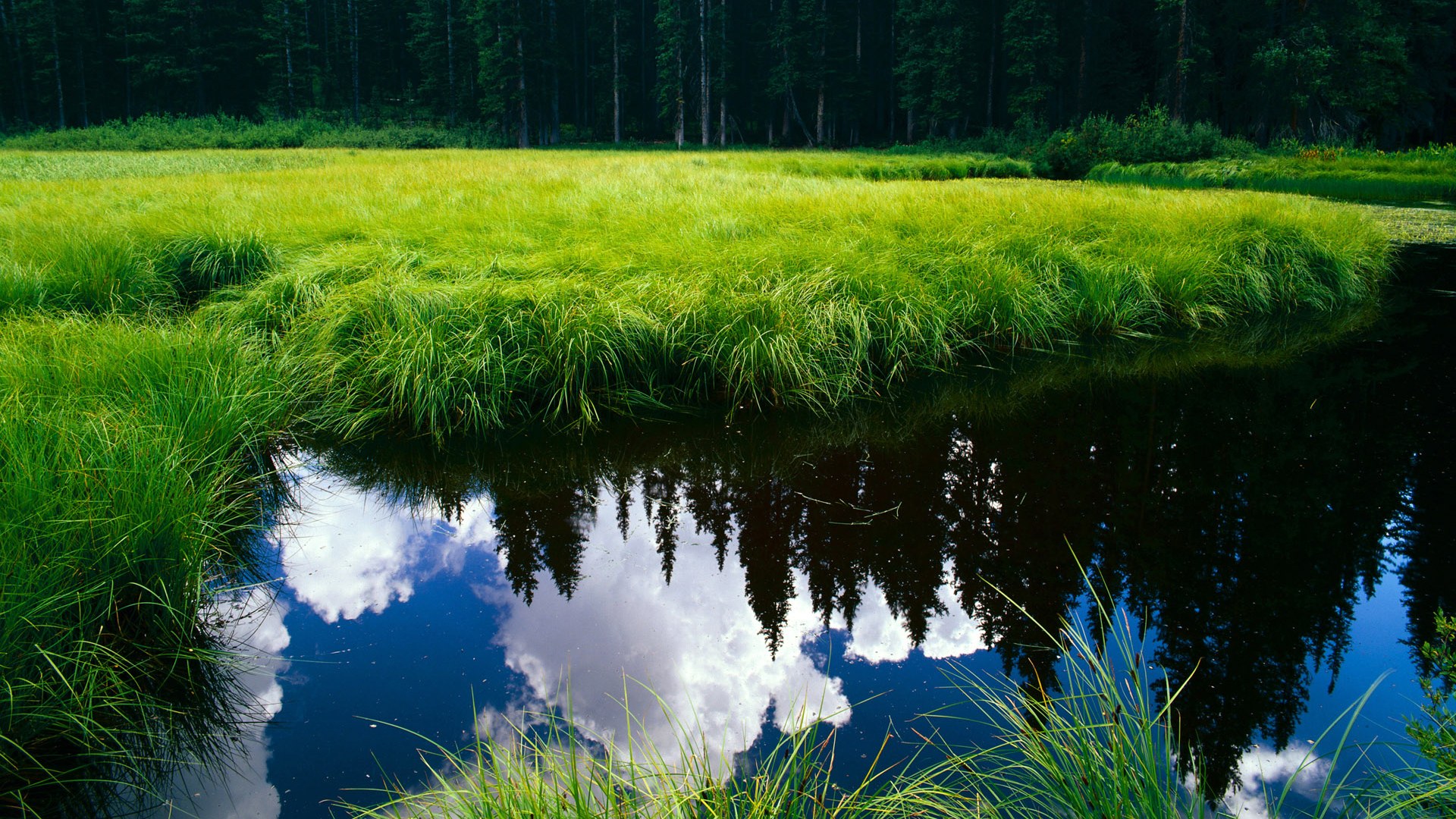 开云体育app入口-NBA球队赛事安全管理体系建设，nba球队管理系统数据库