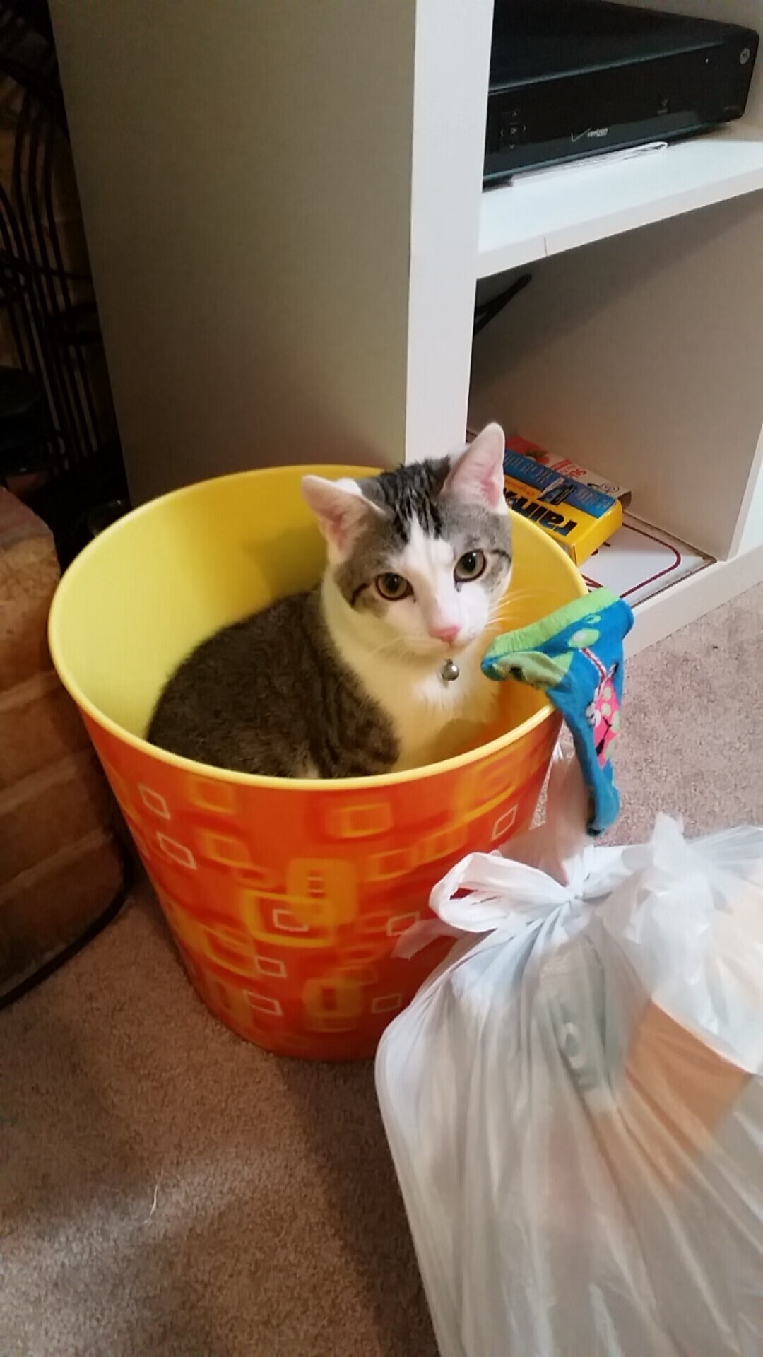 开云体育登录入口-NBA球队赛事推广及粉丝忠诚度培养，nba球队粉丝排行榜  第6张