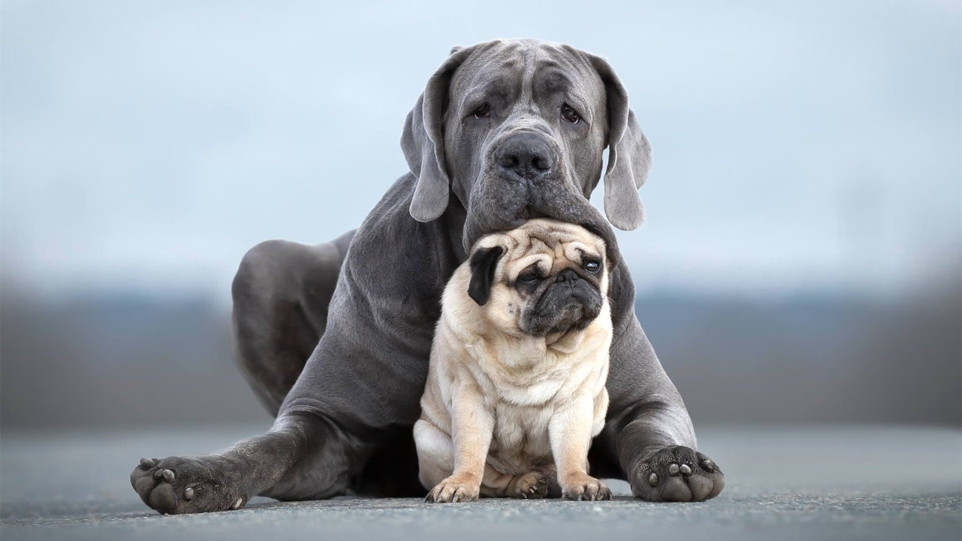 开云体育官网下载-NBA球队赛场战术创新，nba球队战术体系