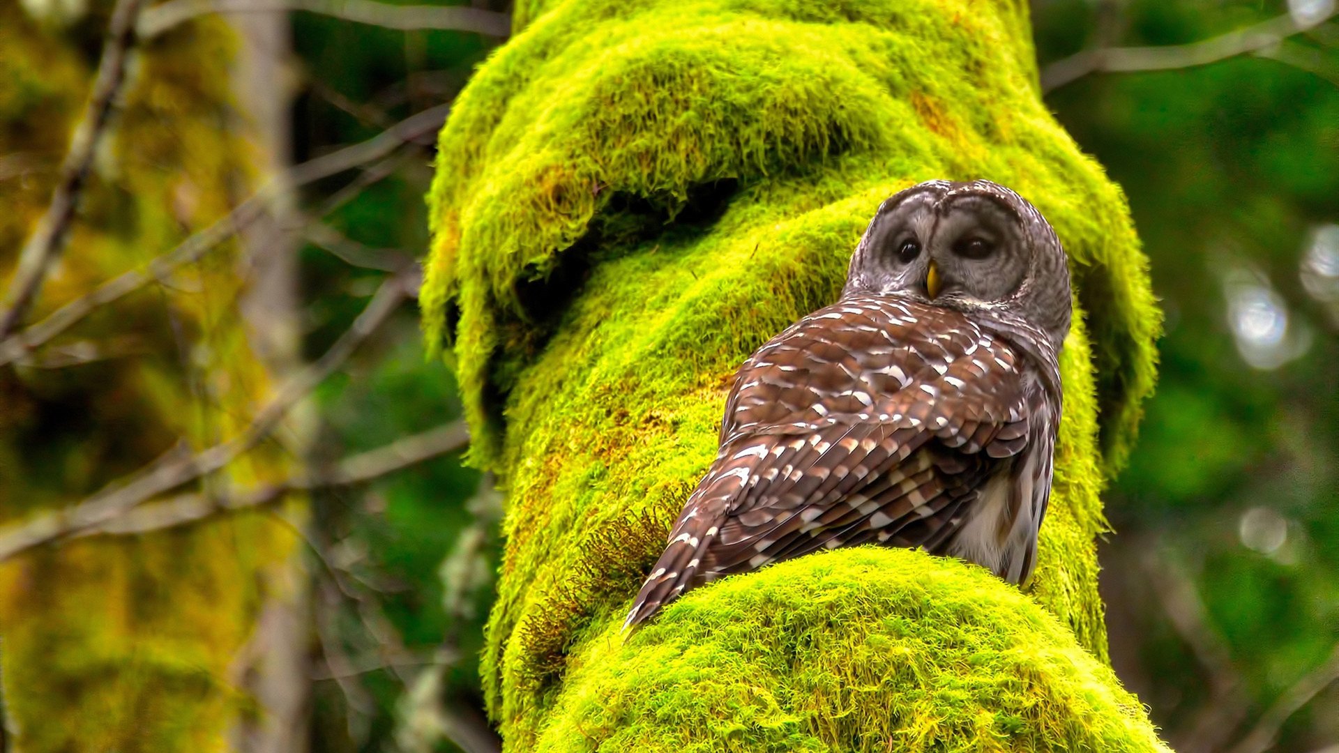 开云官网-中超球队技战术风格分类，中超球员技术统计