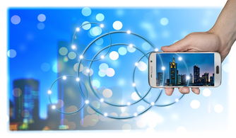 开云在线入口-体育科技创新成果转化路径探讨，体育科技创新产品