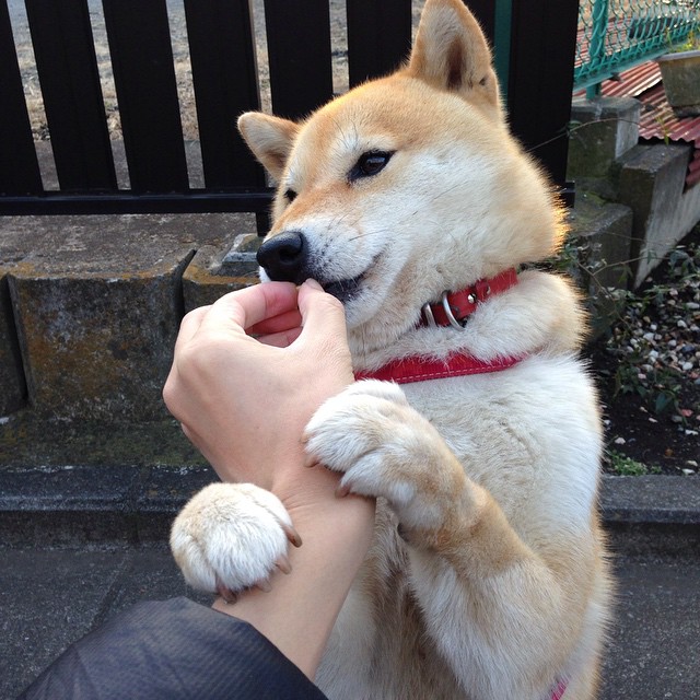 开云体育官网在线-全国排球超级联赛开幕式隆重举行，全国排球邀请赛