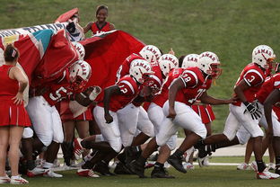 开云体育官网上-全国青少年登山赛贵州赛段精彩刺激，青年登山活动