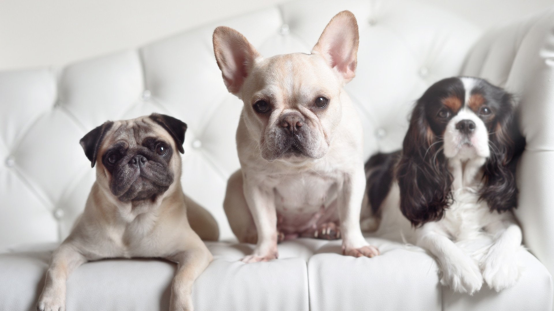 开运体育电脑版-西甲VAR系统引入语境识别功能加强即时决策能力，西甲var使用规则