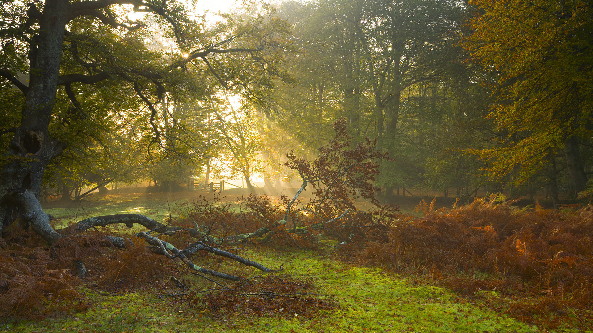 开云体育在线登入-球队在失控局面下是否通过传控恢复信心，球队控制球结束的情况