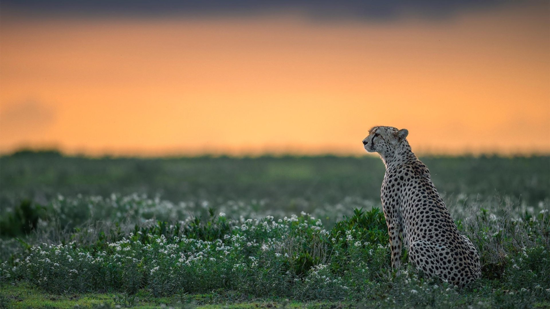 kaiyun开云体育-羽毛球选手专项心理辅导提升临场表现，羽毛球学员