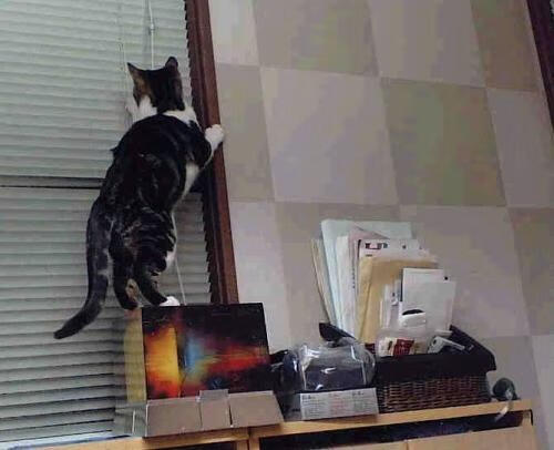 开云ky官网-中国篮协发布年度报告总结发展成果与不足，中国篮协新章程