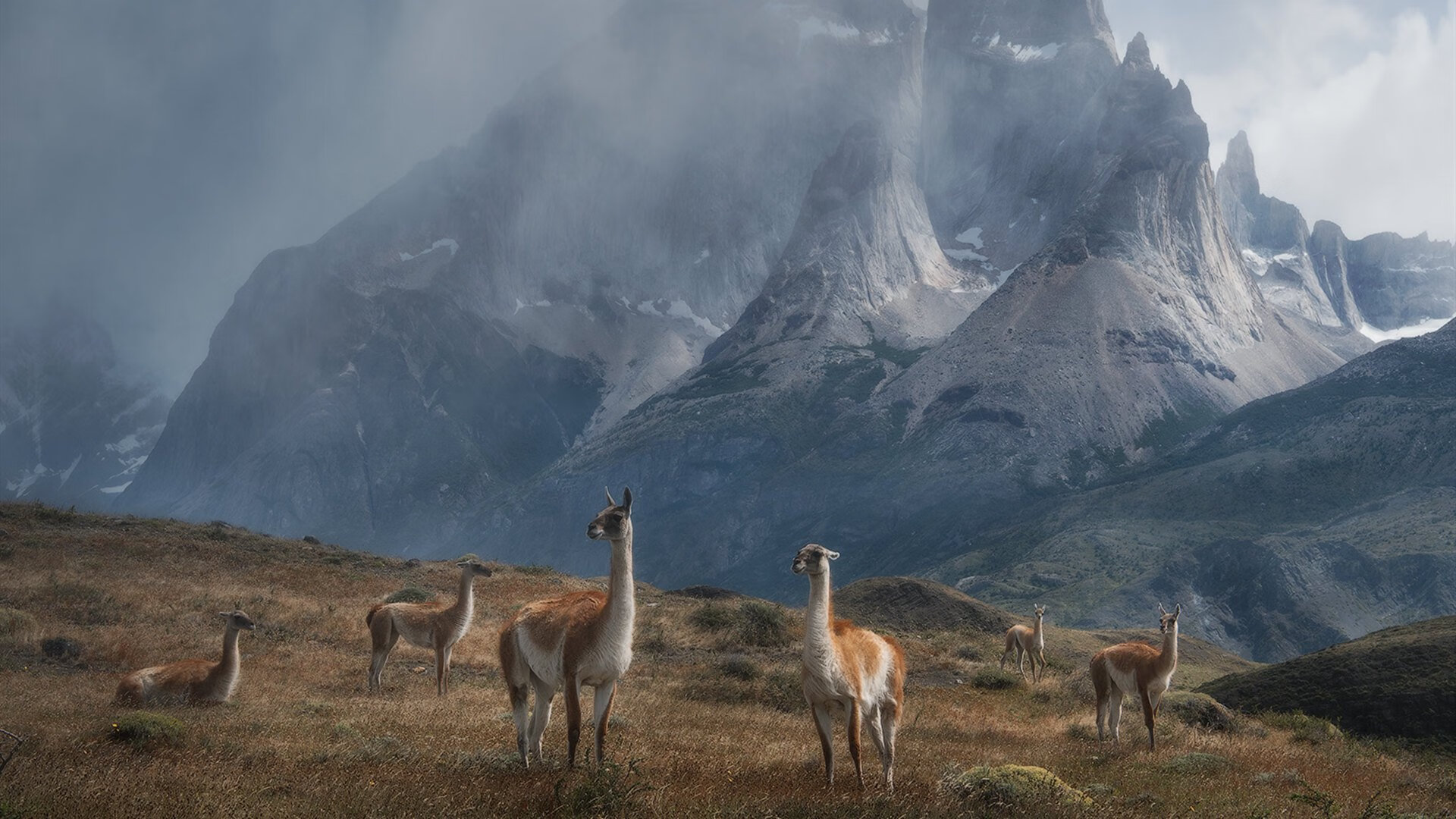 开云在线入口-巴特尔的全场防守表现帮助袋鼠队抵挡住强大压力，nba巴特尔