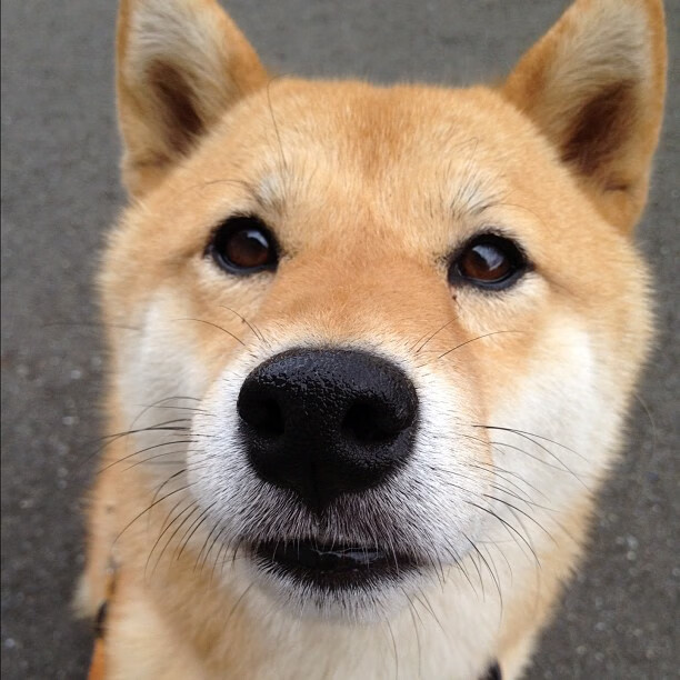 开云体育官网app-福特：随着比赛经验的积累，逐渐成全黑队必不可少的球员，福特黑武士汽车图片