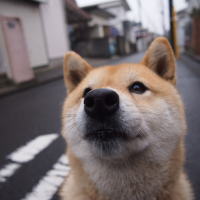 开云体育在线入口-美洲杯压力之下：拼搏不止，精彩纷呈，美洲杯!
