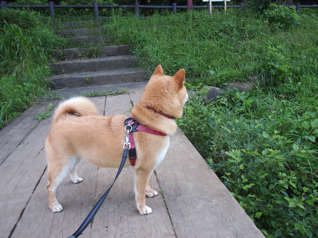 开云体育官网上-阿根廷青训持续推进,未来足球之星不断涌现