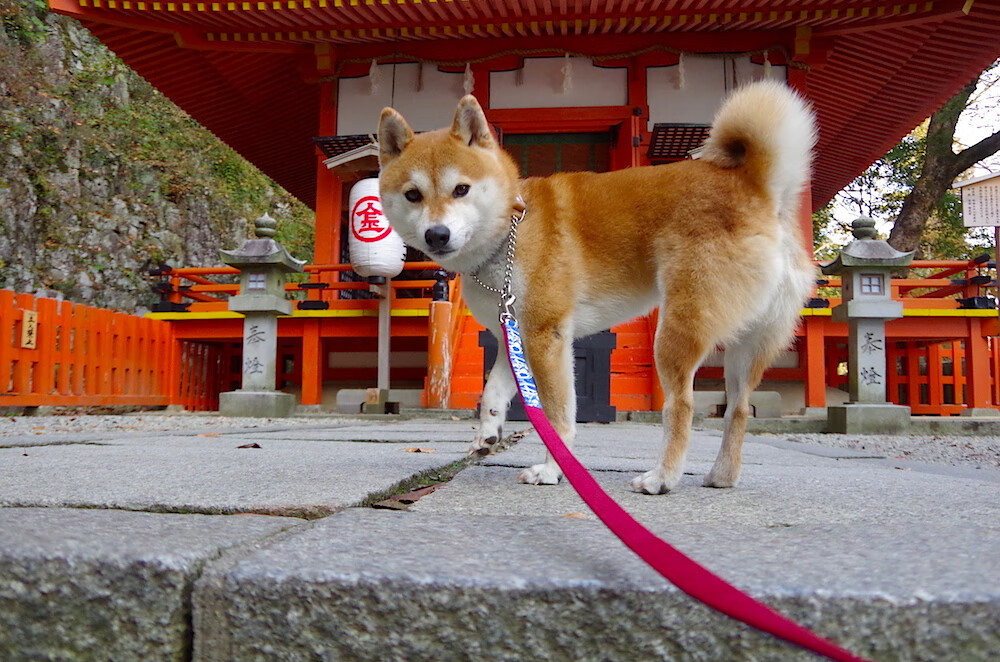 开云体育在线官网-青训中心与体能科研机构共建平台推动研究实践融合，体育青训培训
