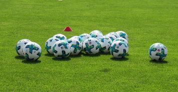 开云体育在线下载-中国足球青训联盟推出青训教练考核标准全国通用，中国足协青训大纲内容