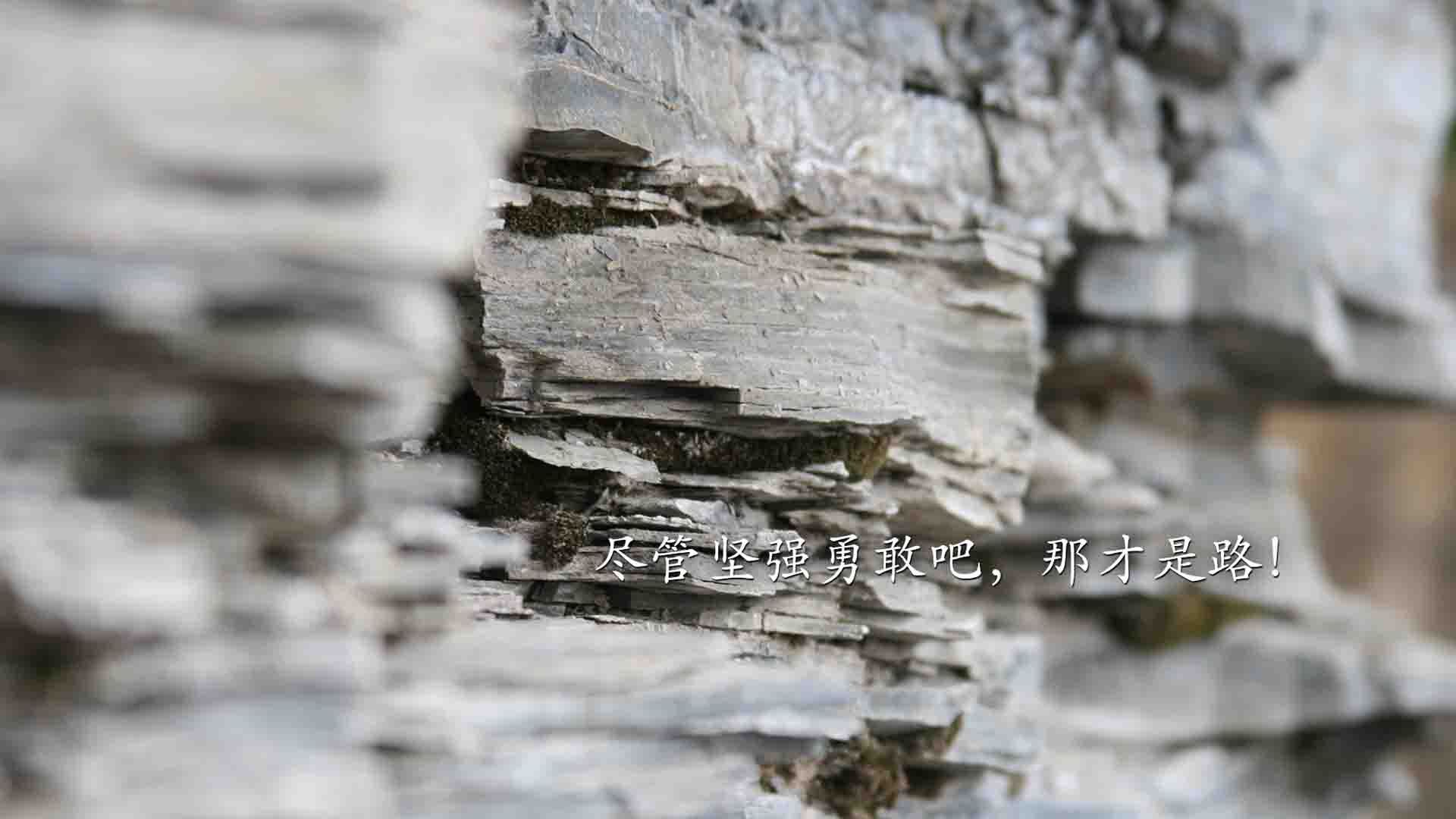 开云体育在线下载-中国足球青训联盟推出青训教练考核标准全国通用，中国足协青训大纲内容