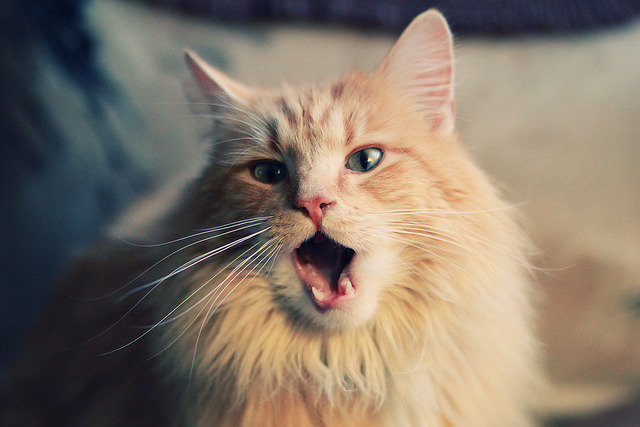 开云体育在线官网-再好的老师，也难教不会不配合的学生，再厉害的老师也教不会一个不想学的人